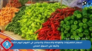 أسعار الخضراوات والفواكه والأسماك والدواجن في الفيوم اليوم الثلاثاء وأثرها على السوق المحلي
